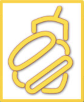 BT BRANDS INC logo
