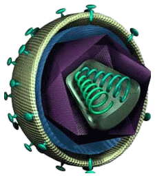 GEOVAX LABS INC logo