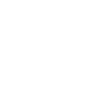 EMERSON RADIO CORP. logo
